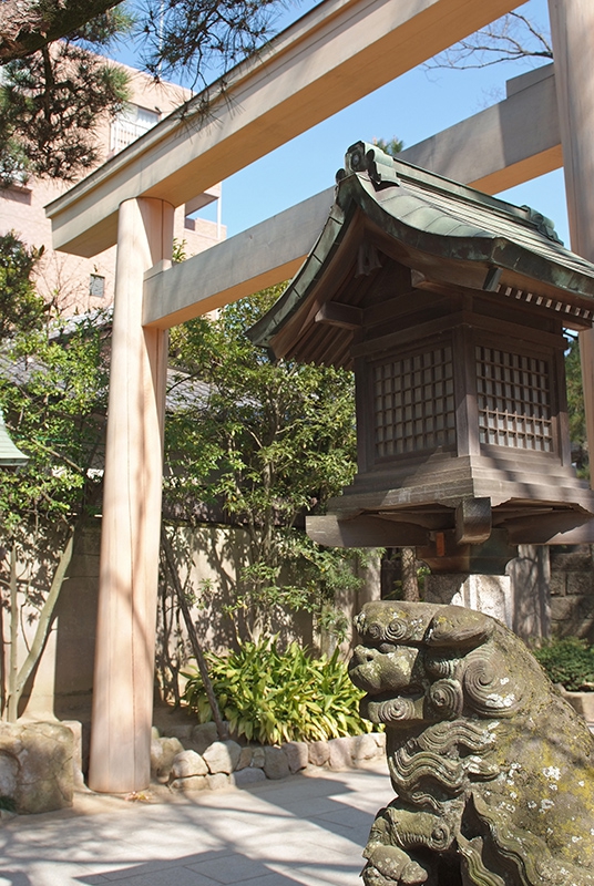 境内模様 桜の季節 - 意富比神社 船橋大神宮 公式サイト