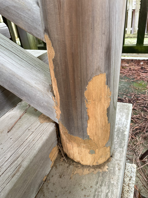 天之御柱宮修復工事(作業前)